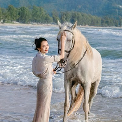 马到成功 (Success)