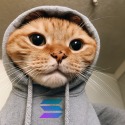 Hood Cat
