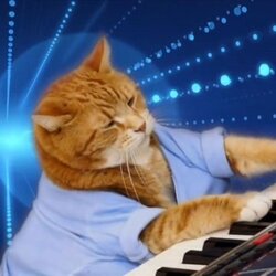 Keyboard Cat (Base)